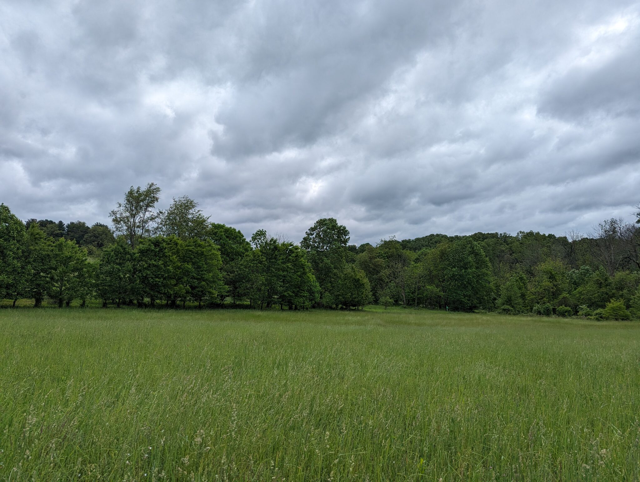 Stateline Woods Preserve - Brandywine Red Clay
